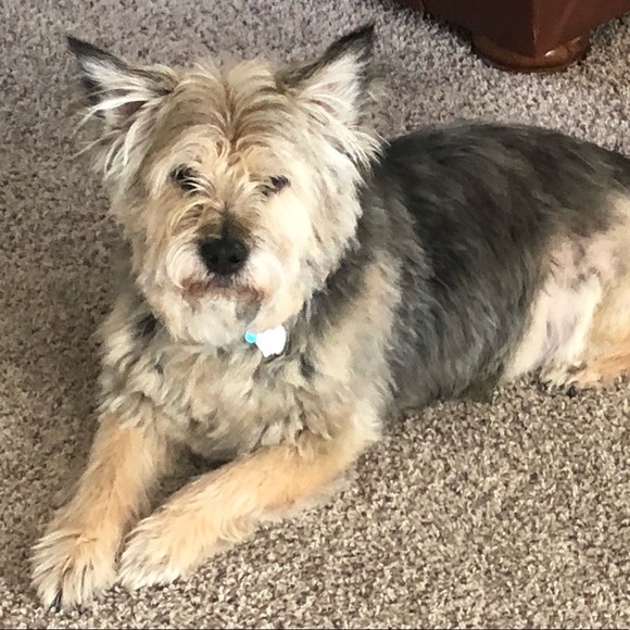 Meet your Posher, Andy - Picture 1 of 1